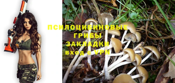 spice Армянск